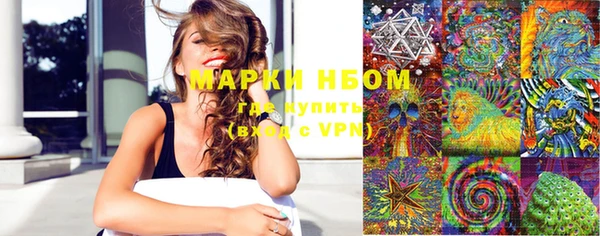 ПСИЛОЦИБИНОВЫЕ ГРИБЫ Арсеньев