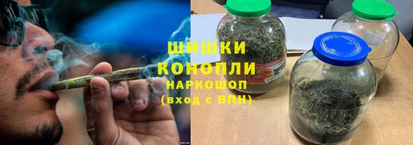 ПСИЛОЦИБИНОВЫЕ ГРИБЫ Арсеньев